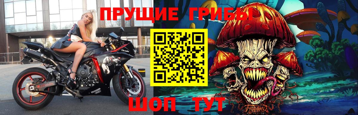 Галлюциногенные грибы Cubensis  Галлюциногенные грибы Cubensis  Нефтекамск  Вход с VPN 